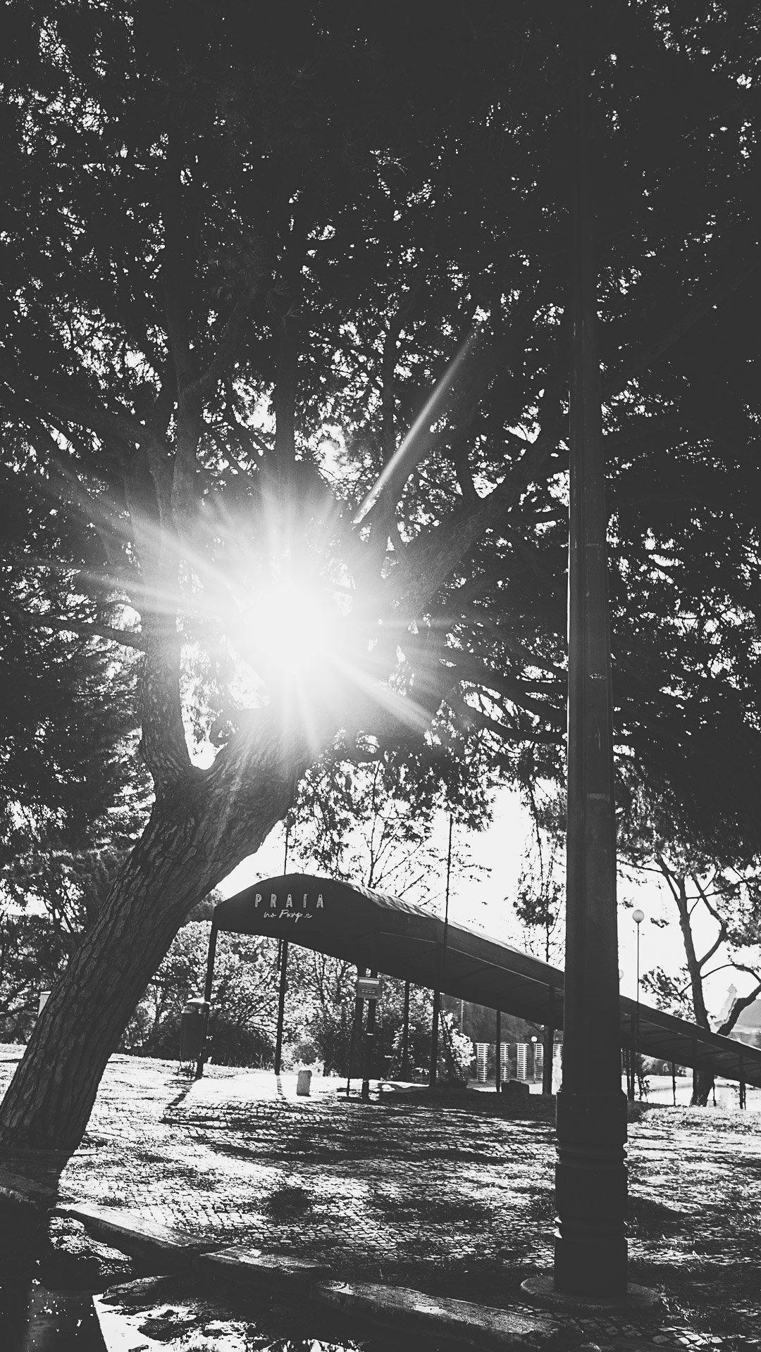 EDL_0352
