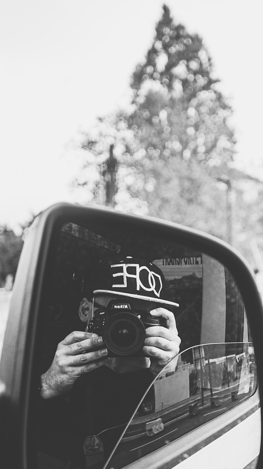 EDL_0556