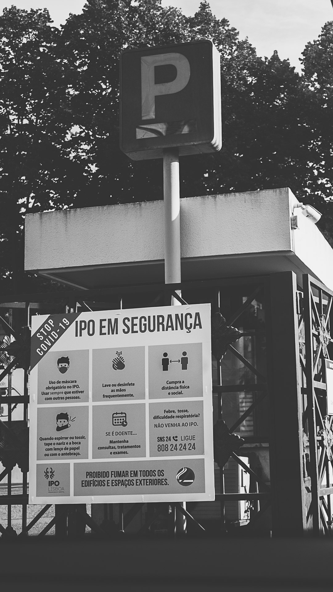 EDL_4981